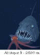 POISSONS_deepsea/image_ter_9.jpg