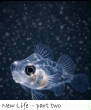 POISSONS_deepsea/new_life_part2.jpg