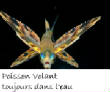 POISSONS_deepsea/poissonb_volant_2.jpg