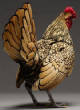 POULES/poules_lesplusbelles_6.jpg