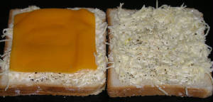 ZEGATO_sandwiches/croque_fromage_1.JPG