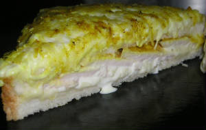 ZEGATO_sandwiches/croque_poulet_b.JPG