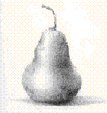 fotos_travailees/fruit-pear.GIF