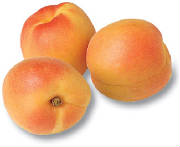 glossary_a/fruit_apricot.jpg