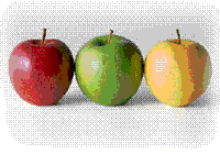 glossary_a/fruit_apples.gif