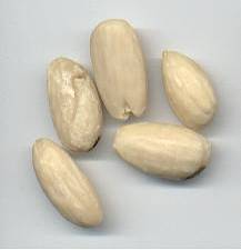 glossary_a/herb_almond_sweet.jpg