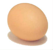 glossary_b/bind_egg.jpg glossary_b/bind_egg.jpg