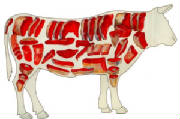 glossary_b/boeuf.jpg glossary_b/boeuf.jpg