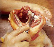 glossary_b/boning.jpg glossary_b/boning.jpg