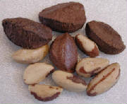 glossary_b/fruit_brazilnuts.jpg glossary_b/fruit_brazilnuts.jpg
