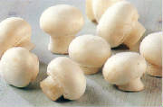 glossary_b/veg_mushroom_buttoni.jpg glossary_b/veg_mushroom_buttoni.jpg