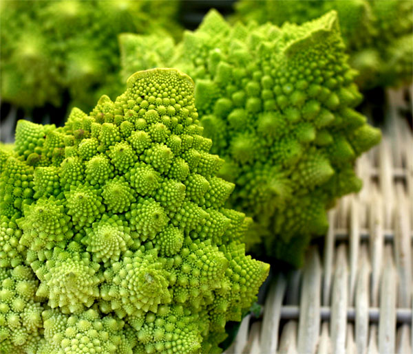 glossary_b/broccoflower.jpg