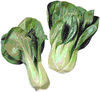 glossary_b/veg_bokchoi.gif glossary_b/veg_bokchoi.gif