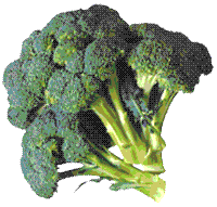 glossary_b/veg_brocoli.gif