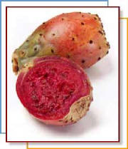 glossary_c/fruit-cactus-pricklypear.jpg