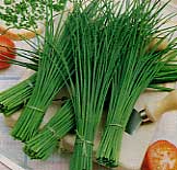 glossary_c/herb-chives.jpg