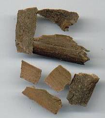 glossary_c/herb-cinnamon_vietnamese.jpg