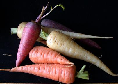 glossary_c/veg-carrots_mixed.jpg glossary_c/veg-carrots_mixed.jpg