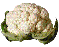 glossary_c/veg-cauliflower.gif