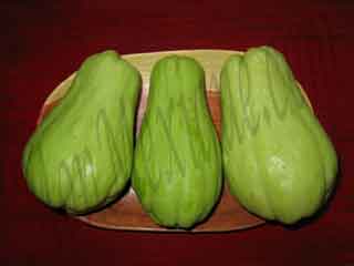 glossary_c/veg-chayote.jpg