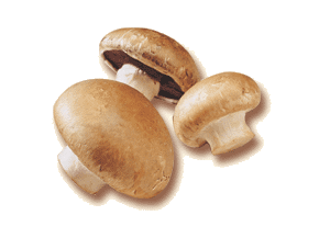 glossary_c/veg-mushroom-crimini_silo.gif