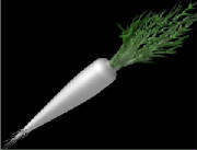 glossary_d/veg-daikon.jpg