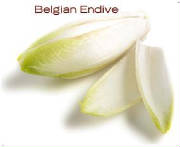 glossary_e/veg-endive.jpg