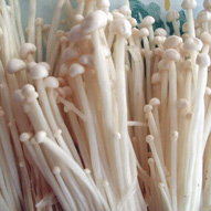 glossary_e/veg-mushroom_enoki.jpg