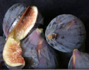 glossary_f/fruit-fig_blackmission.jpg