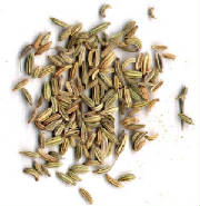 glossary_f/herb-fennel.jpg