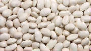 glossary_h/legumes_haricots_blancs.jpg