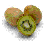 glossary_k/fruit-kiwi.GIF