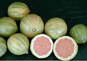 glossary_l/fruit-lemon_pink.jpg