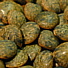 glossary_l/bean-lentil-frenchblue.jpg