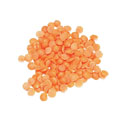 glossary_l/bean-lentil-petitecrimson.jpg