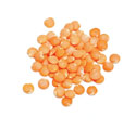 glossary_l/bean-lentil-redchief.jpg