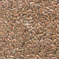glossary_l/seed-Linseed-seeds.jpg
