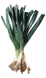 glossary_l/veg-leek.gif