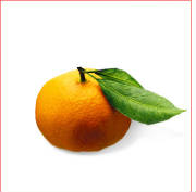 glossary_m/fruit-mandarinorange.jpg