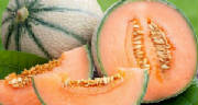 glossary_m/melon_cavaillon.jpg