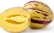 glossary_m/melon_pepino.jpg