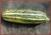 glossary_m/veg-Marrow.jpg