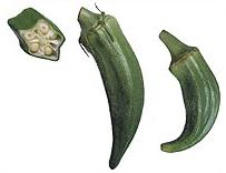 glossary_o/veg-okra.jpg