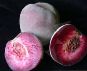 glossary_p/fruit-peach_indianred.jpg