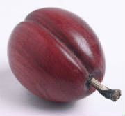 glossary_p/fruit-plum.jpg