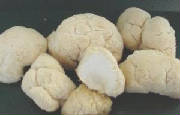 glossary_p/veg-mushroom-PomPom.jpg