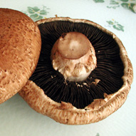 glossary_p/veg-mushroom-portobello.jpg