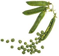 glossary_p/veg-peas.jpg