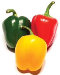 glossary_p/veg-pepper-mini.jpg