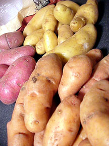 glossary_p/veg-potatoe-fingerlings.jpg